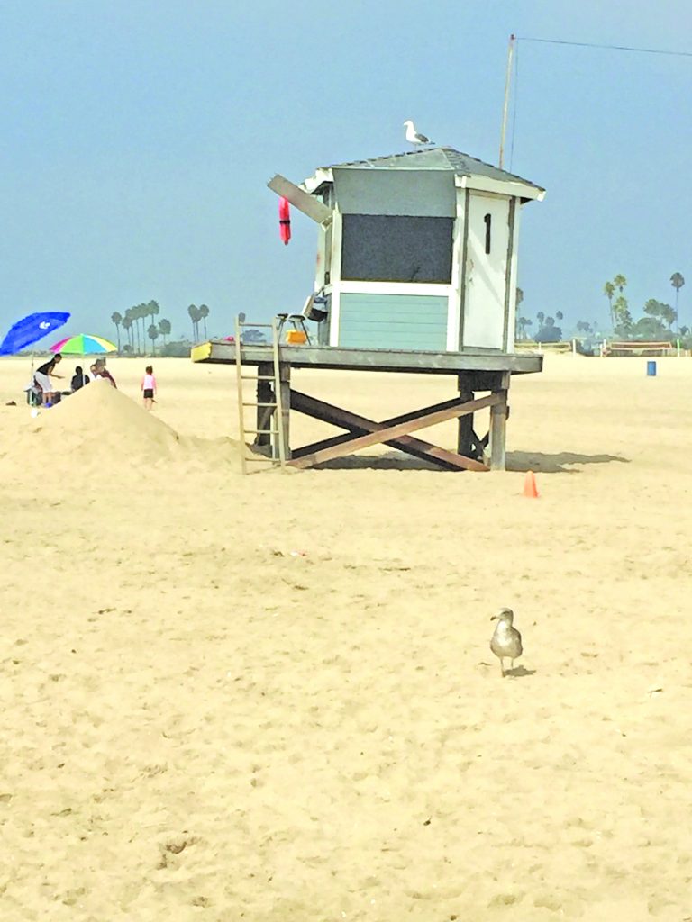 Summer summary: Seal Beach Lifeguards rescue 248 people