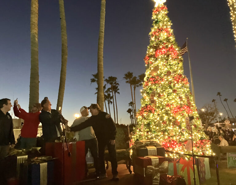 Sparkling city tree ushers in Christmas spirit