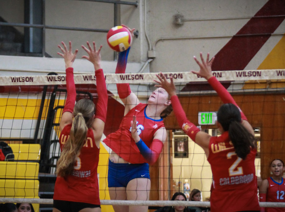 Los Alamitos VB rolls to win in season opener