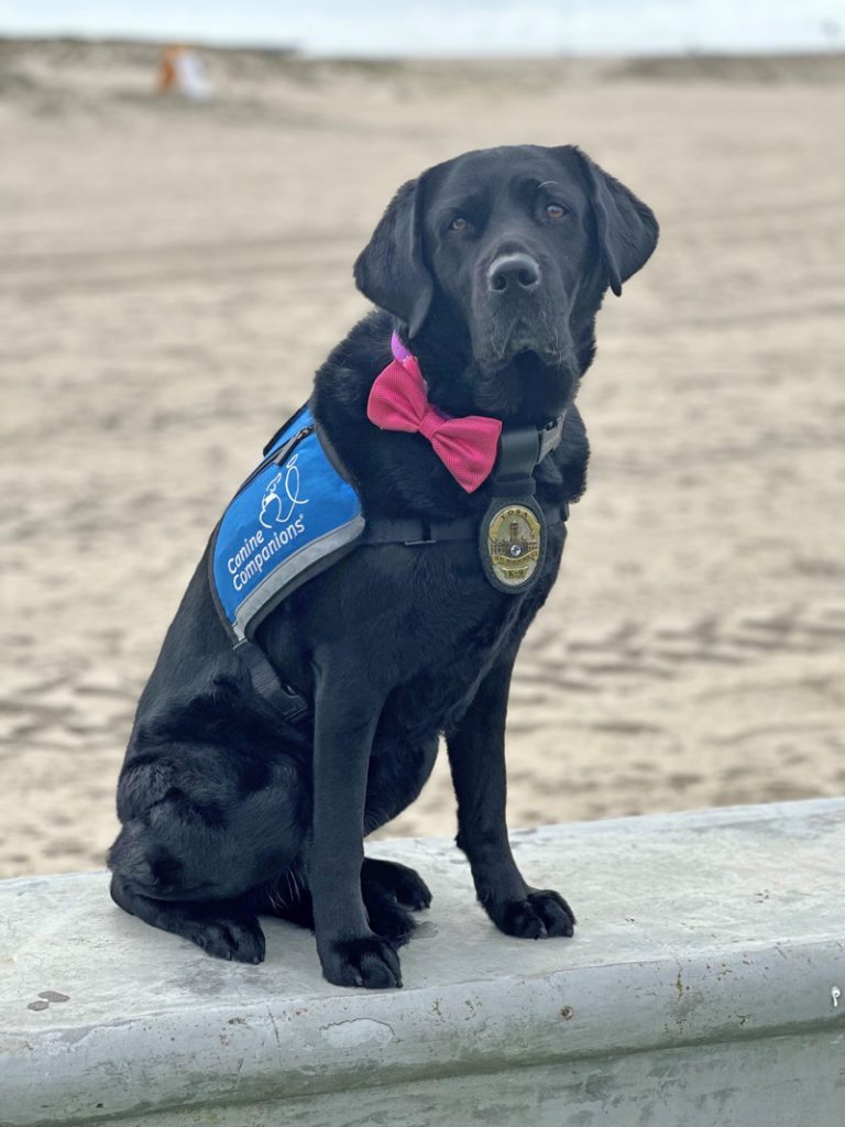 Briefing Room: Yosa, four-legged ambassador for Seal Beach and SBPD